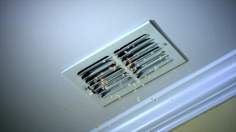 Best Home Air Vent Cleaning  in Kulpmont, PA
