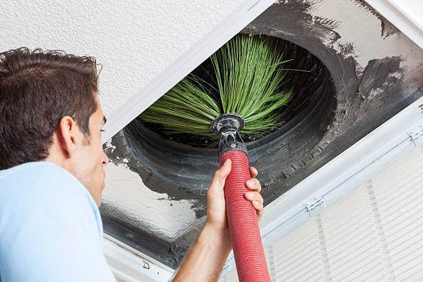 Best HVAC Air Duct Cleaning  in Kulpmont, PA
