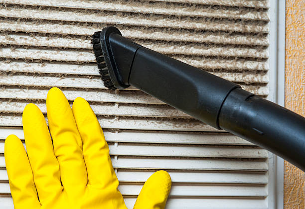 Best Air Vent Cleaning Services  in Kulpmont, PA